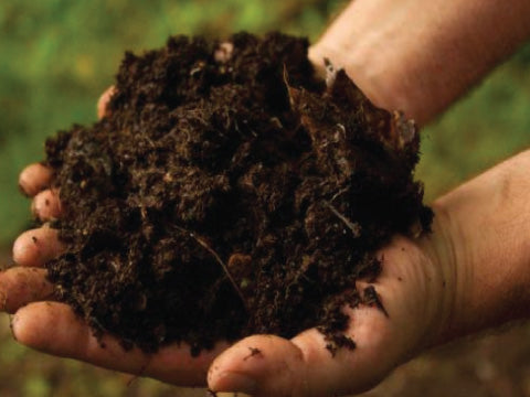 Removing Heavy Metals From Your Soil