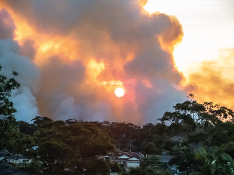 The Silent Killer: Bushfire Smoke Dangers You Need to Know