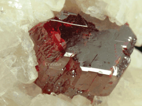 Mercury Toxicity by Ingrid Naiman
