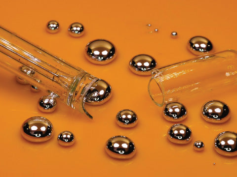 Health Impacts of Mercury Toxicity